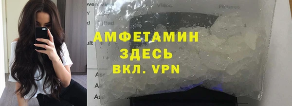 стаф Алзамай
