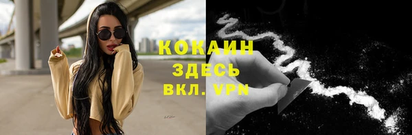 стаф Алзамай