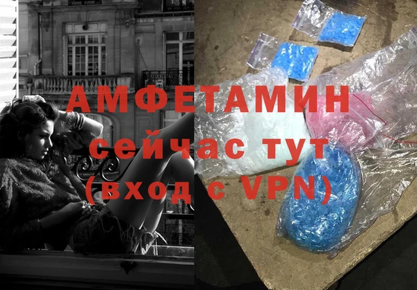 стаф Алзамай